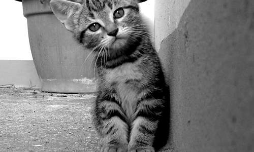 2016-12-27-180347-801168